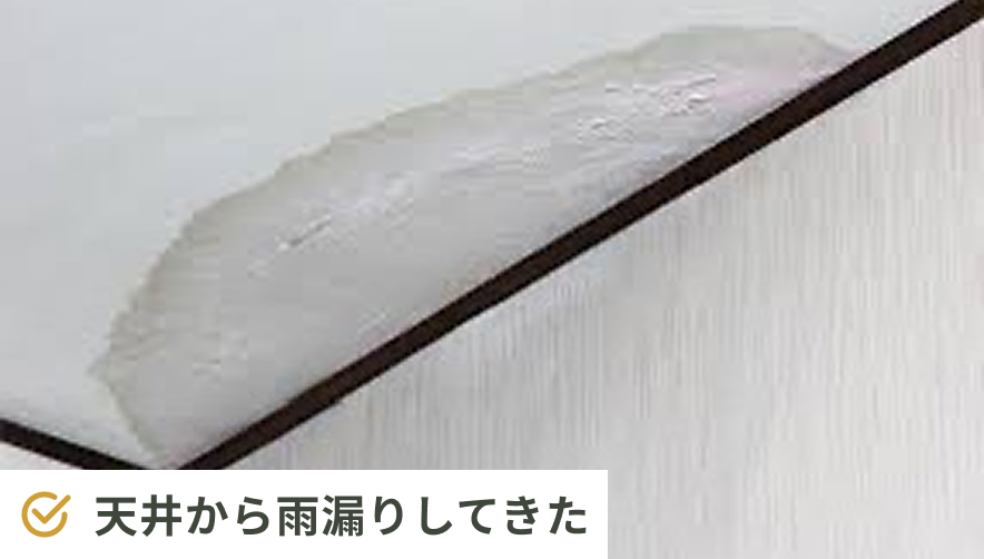 天井から雨漏りしてきた